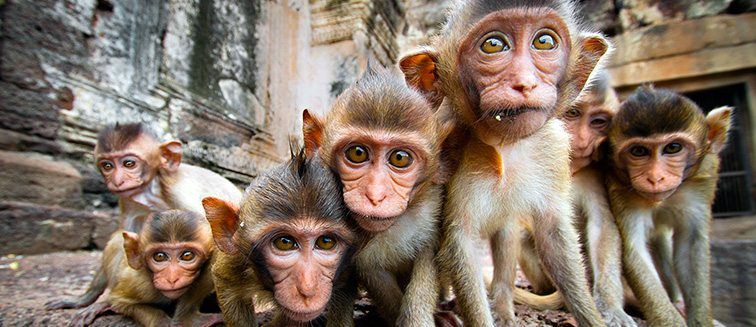 Tailandia con Maldivas imagen 2